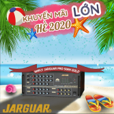 Amply Jarguar Pro 506N Gold chính hãng Nhật Hoàng, Nhập khẩu Hàn Quốc