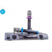 Micro không dây BBS E-250 GS