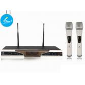 Micro không dây BFaudio K302D+