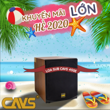 CAVS 450E