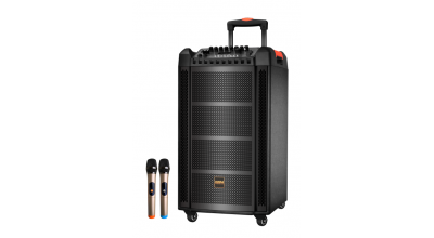 NHỮNG LƯU Ý KHI CHỌN MUA LOA KÉO