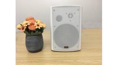 TÌM HIỂU VỀ LOA TREO TƯỜNG PHÒNG HỌP