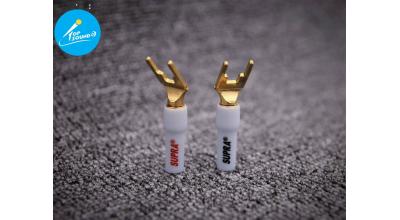 CÁC LOẠI GIẮC CẮM LOA PHỔ BIẾN NHẤT HIỆN NAY