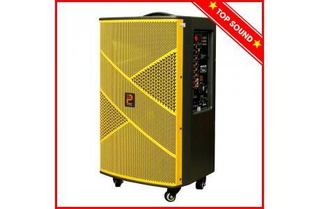 Loa Kéo Di Động Prosing W12
