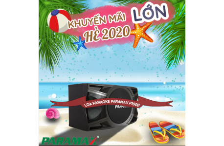 Loa Karaoke Paramax P1000 New 2018