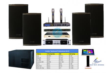 Bộ dàn Karaoke công suất cực lớn: Top Sound Professional 40-01