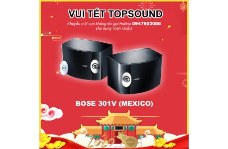 Loa Karaoke Bose 301 seri V giá rẻ, bảo hành chính hãng 5 năm