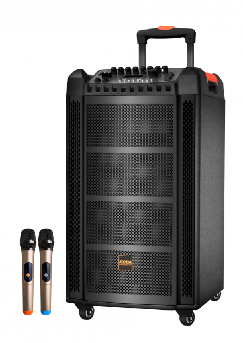 NHỮNG LƯU Ý KHI CHỌN MUA LOA KÉO