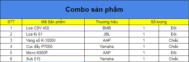 Combo sản phẩm có loa bmb csv 450se