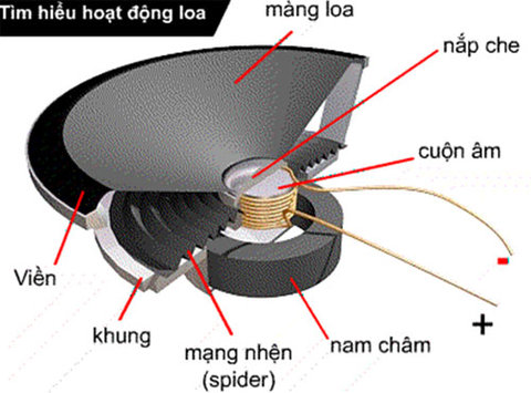 Màng loa giấy